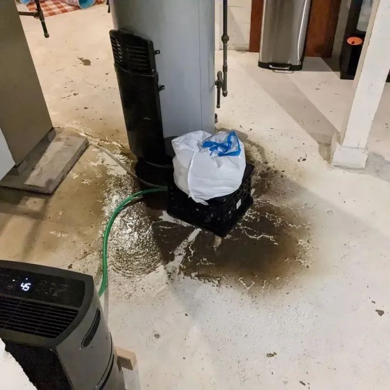 Sewage Backup Cleanup Service in Duchesne, UT